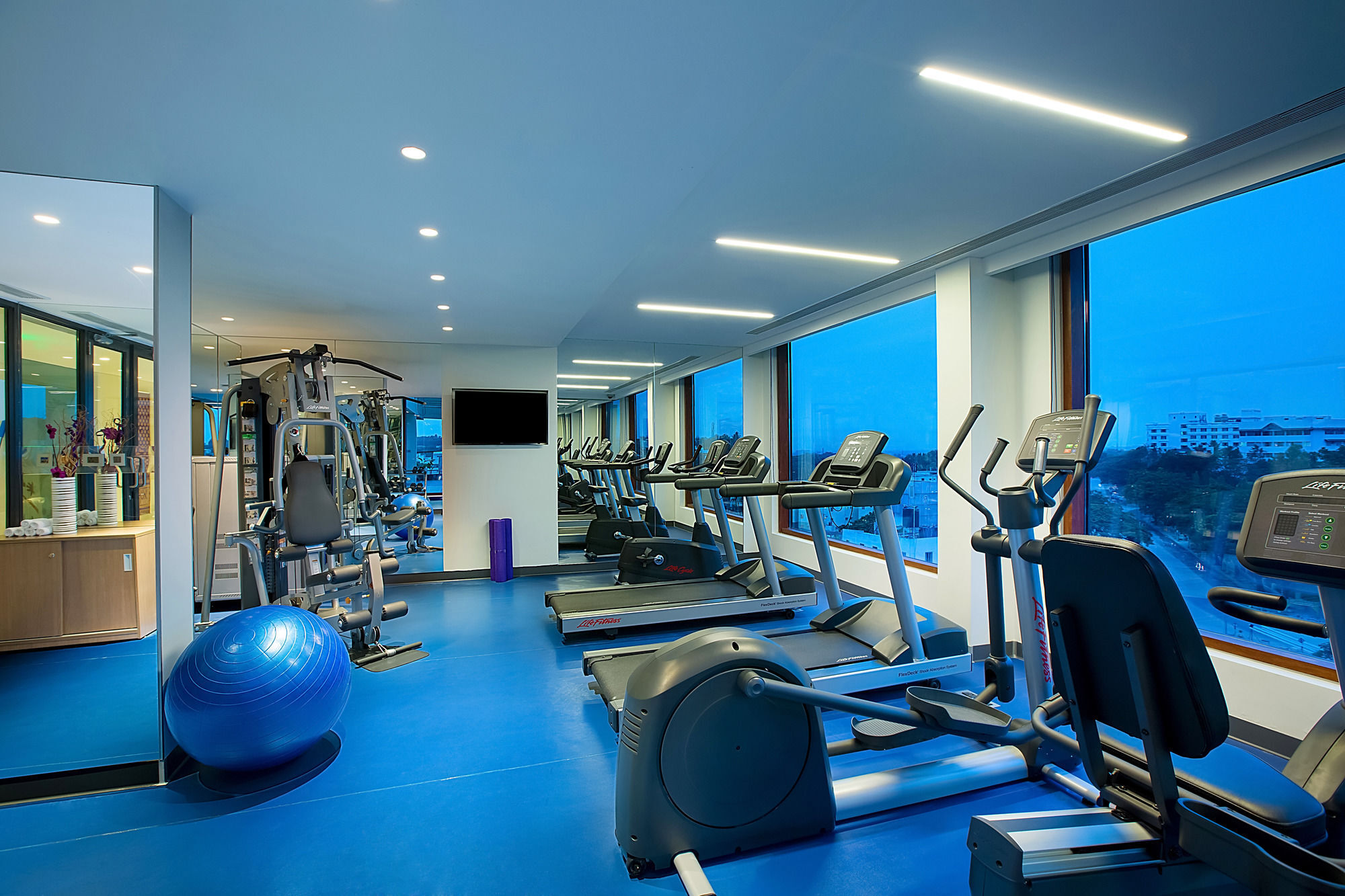 迈索尔美爵大酒店 -雅高酒店集团品牌 外观 照片 The gym at the hotel